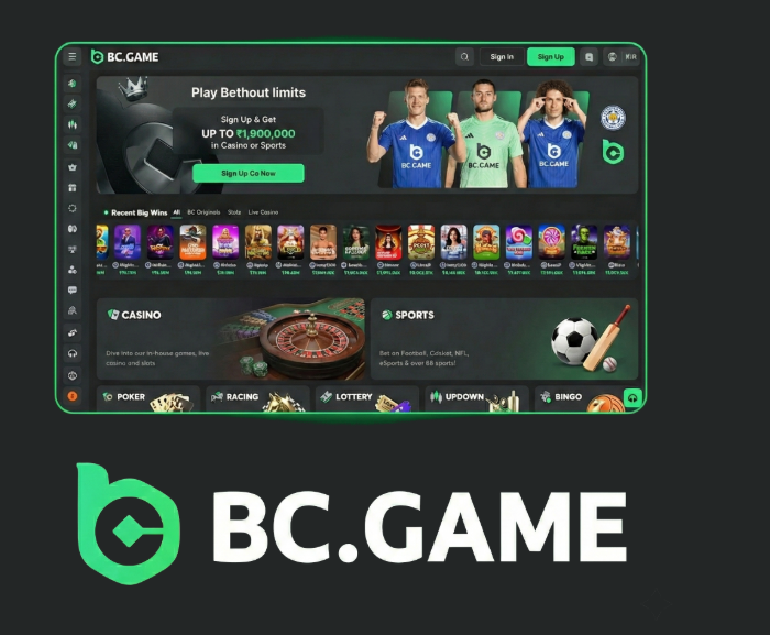 Unlocking the World of Online Gaming with the BC.Game Mirror App Unlocking the World of Online Gaming with the BC.Game Mirror App